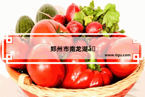 郑州市南龙湖双湖大道今天限号吗