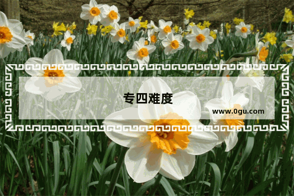 专四难度