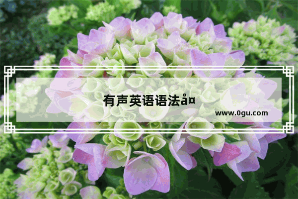 有声英语语法大全