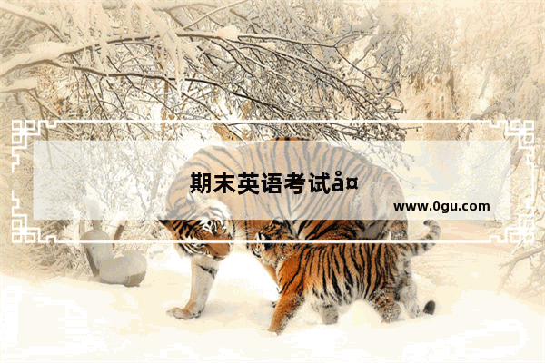 期末英语考试备考总结