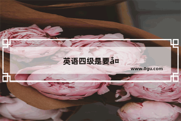英语四级是要多少个单词的