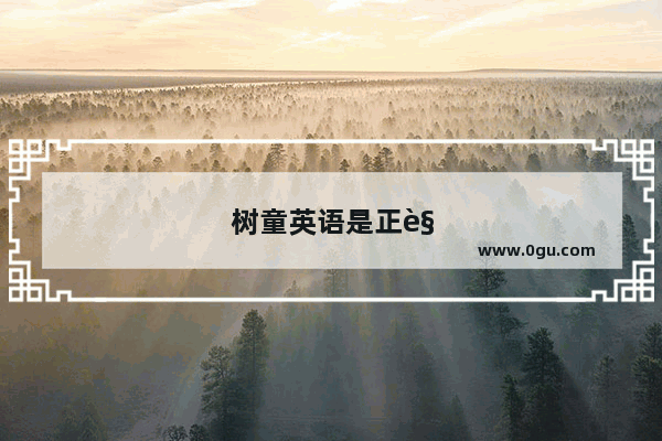 树童英语是正规公司吗