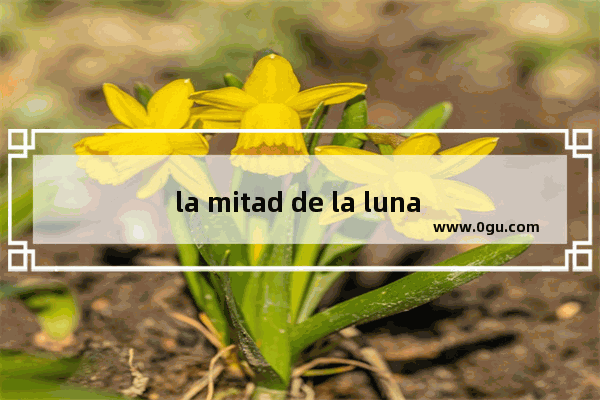la mitad de la luna esta en la luna是什么意思啊?貌似是西班牙文