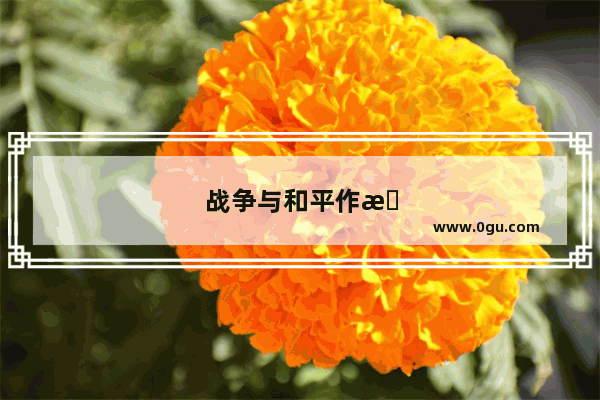 战争与和平作文