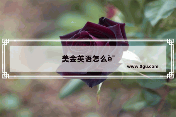 美金英语怎么读