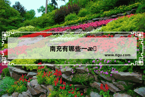 南充有哪些一本大学