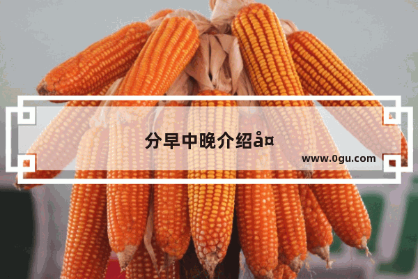 分早中晚介绍大口森林公园优美风景的作文