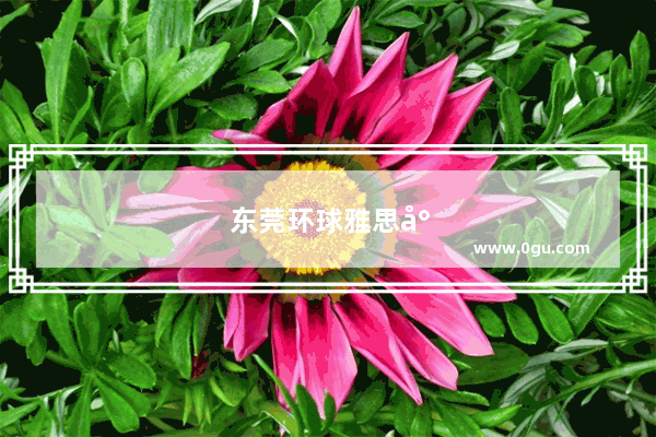 东莞环球雅思封闭班怎么样啊