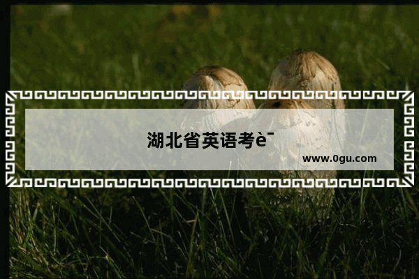 湖北省英语考试