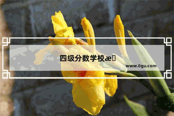 四级分数学校排名
