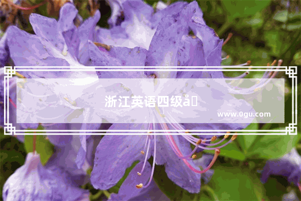 浙江英语四级和全国一样吗