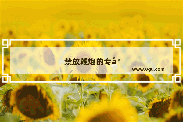 禁放鞭炮的专家是干什么的