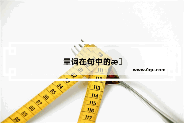 量词在句中的成分