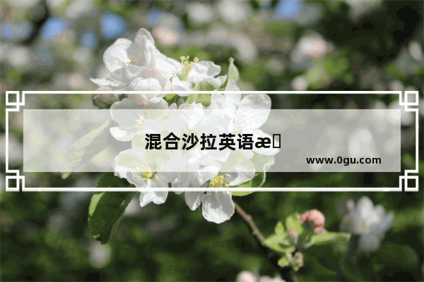 混合沙拉英语怎么说读