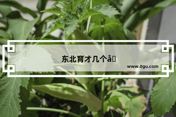 东北育才几个分校