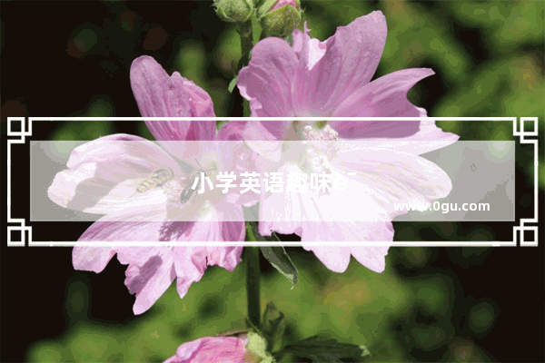 小学英语趣味课堂在哪里找