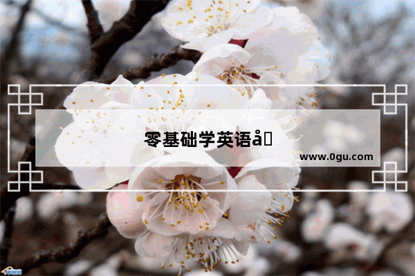 零基础学英语口语最快方法