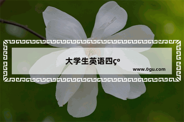 大学生英语四级什么意思呀