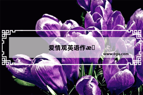 爱情观英语作文