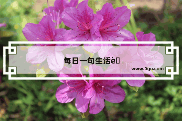 每日一句生活英语口语怎么说