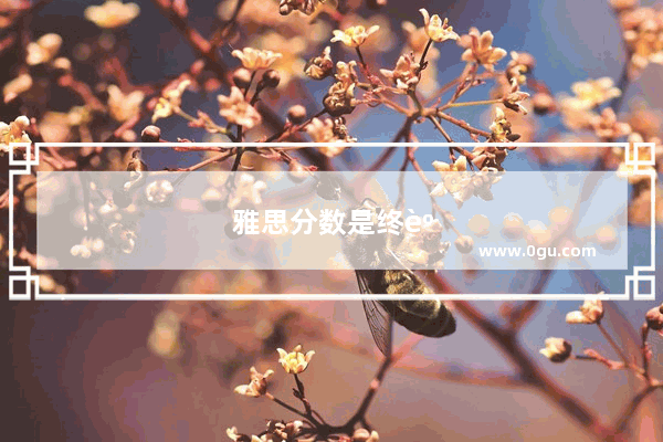 雅思分数是终身有效的吗