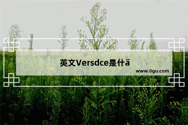 英文Versdce是什么意思