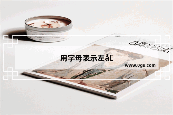 用字母表示左右
