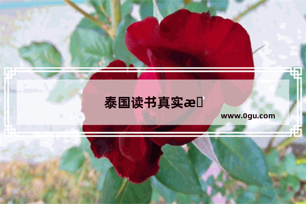 泰国读书真实感受