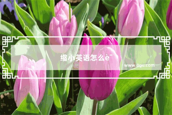 缩小英语怎么说