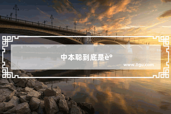 中本聪到底是谁？他隐藏身份的目的是什么
