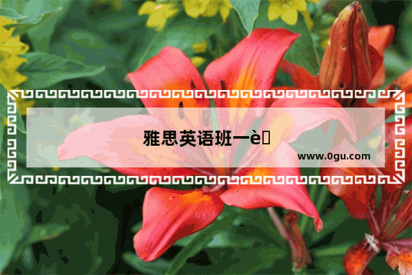 雅思英语班一般多少钱一节课