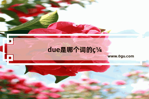 due是哪个词的缩写