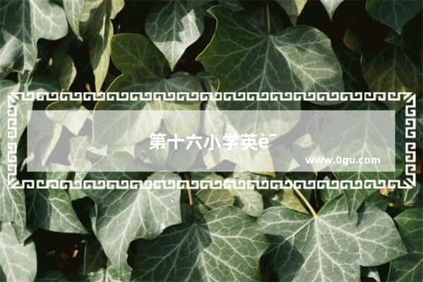 第十六小学英语