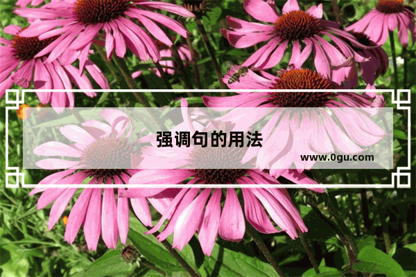 强调句的用法