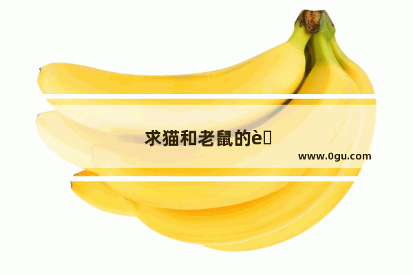 求猫和老鼠的英文名