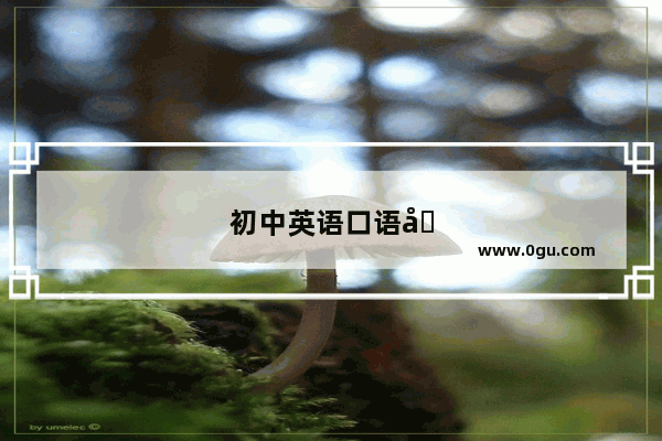 初中英语口语单词背诵方法