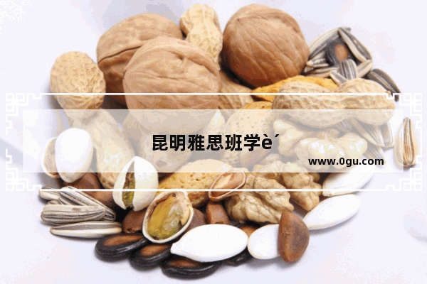 昆明雅思班学费