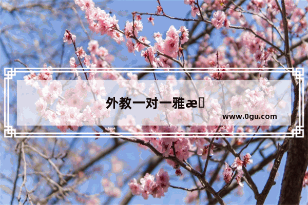 外教一对一雅思口语怎么样