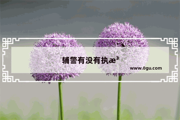 辅警有没有执法权？都可以做哪些工作