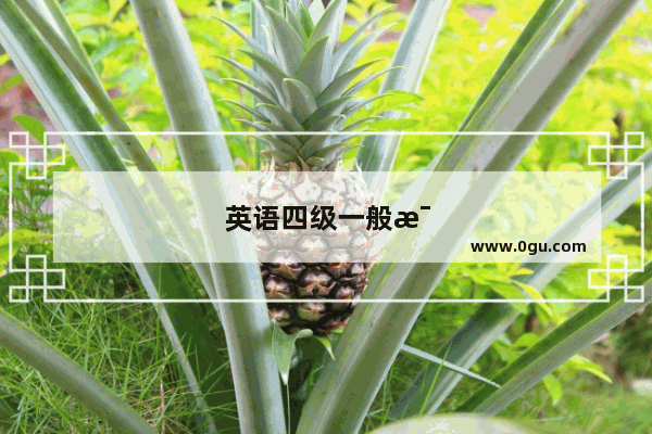 英语四级一般每年几月考试