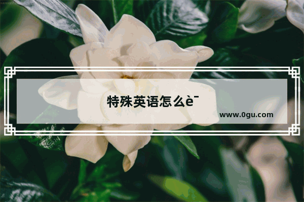 特殊英语怎么说读