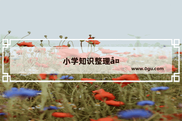 小学知识整理大全英语数学书