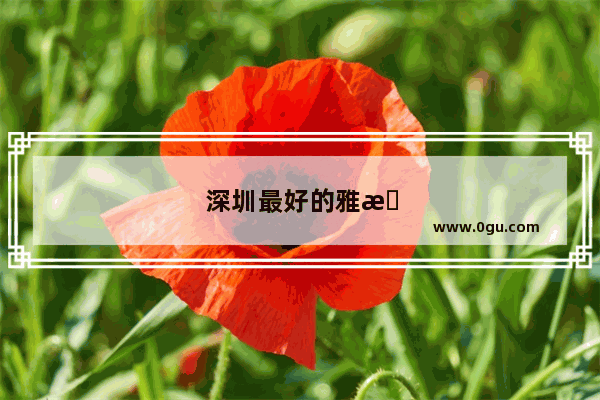 深圳最好的雅思培训机构是哪家