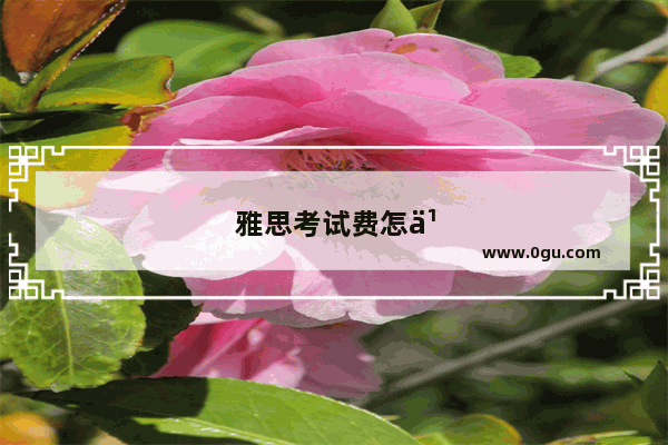 雅思考试费怎么那么贵啊