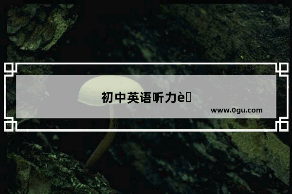 初中英语听力老师评价标准表