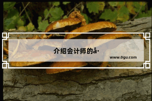 介绍会计师的工作英语口语怎么说