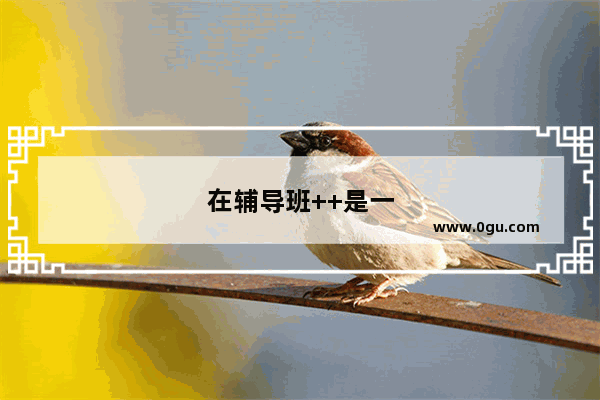 在辅导班++是一种什么体验