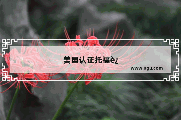 美国认证托福还是雅思认证