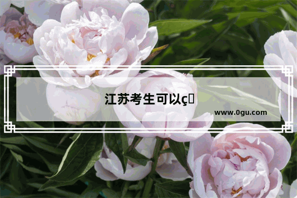 江苏考生可以用山西的网报四级吗