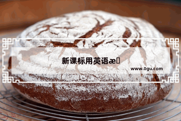 新课标用英语怎么说呢